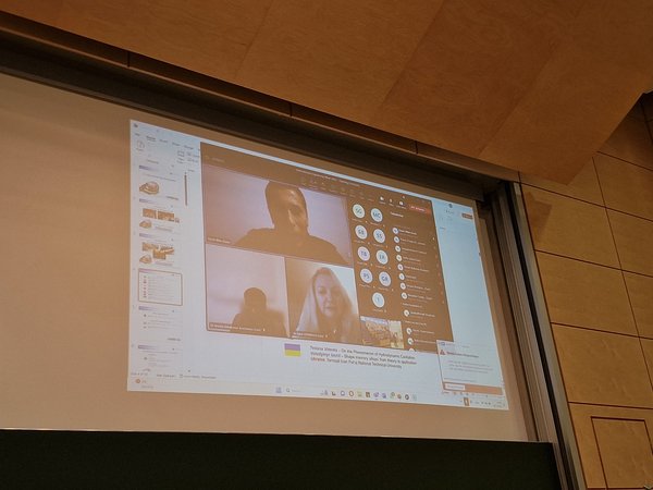 Shows a whiteboard with the professors connected online 