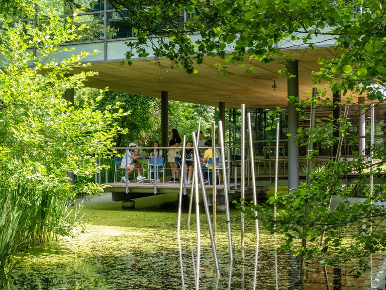 Studierende auf der Leseinsel der Bibliothek