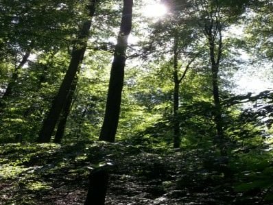 NLP Kellerwald-Edersee (Hessen) NLP Kellerwald-Edersee (Hessen)