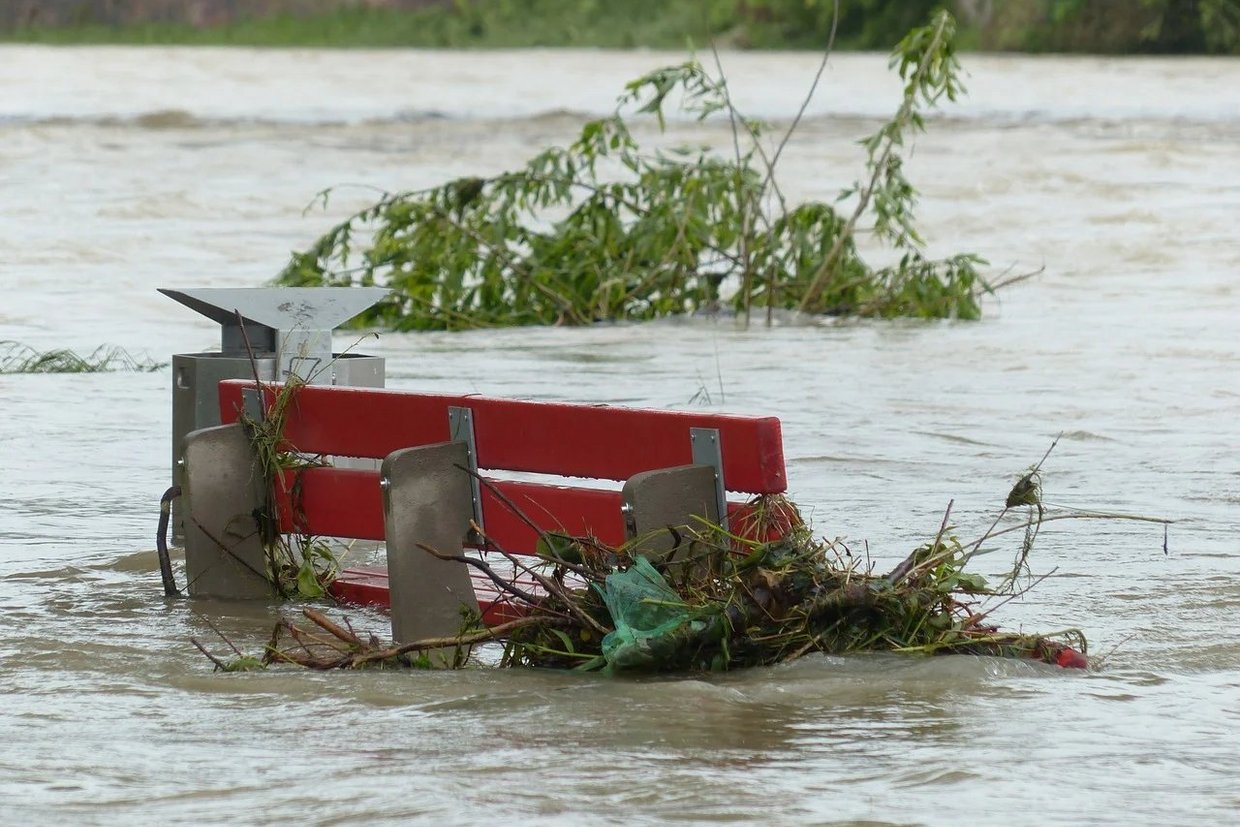 Rote Sitzbank, aus dem Hochwasser herausschauend