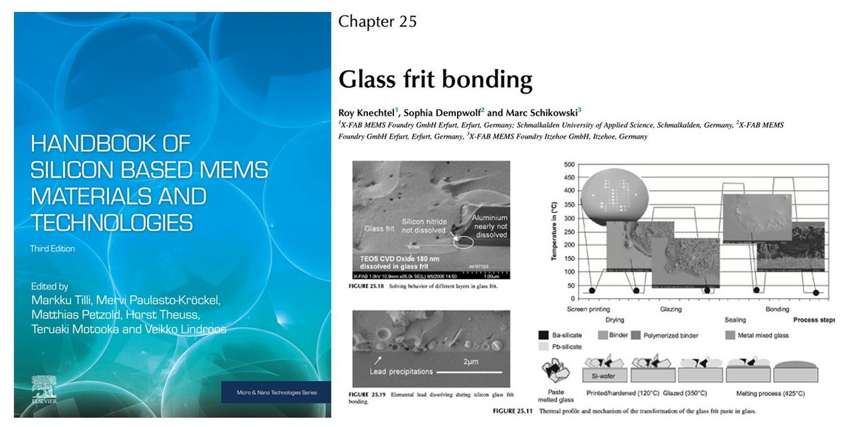 Professor Roy Knechtel ist (Mit)Autor des Handbook of Silicon based
