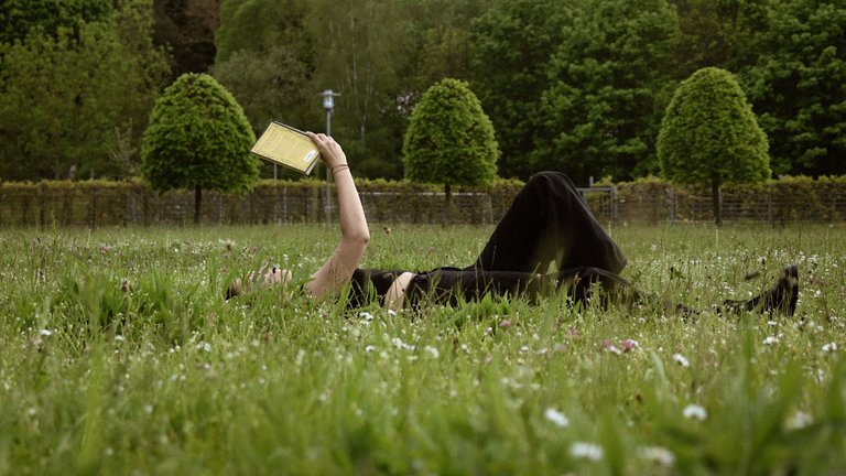 Frau liegt in Wiese mit Buch