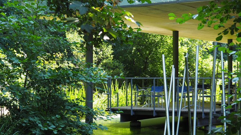 Photo: View of the reading isle and the pond in the summer time