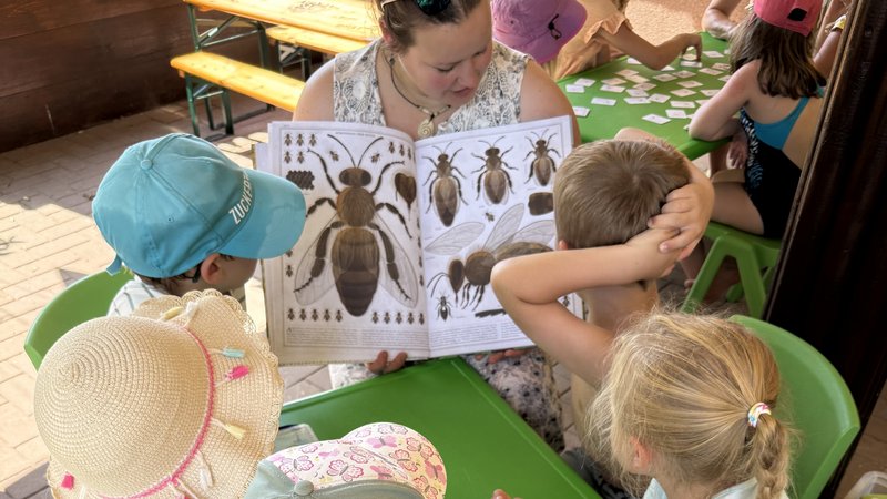 Kinder schauen auf ein Buch