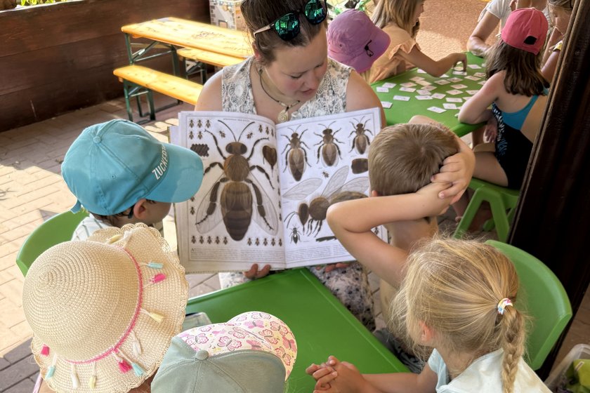 Kinder schauen auf ein Buch