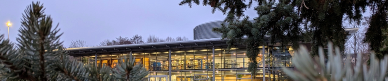 Photo of the library building at dusk; pine branches from the campus Christmas tree in the foreground