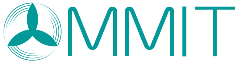 OMMIT GmbH 