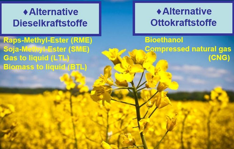 BiofuelTriC Alternative diesel and petrol fuel Presentation BiofuelTriC Alternative diesel and petrol fuel Presentation