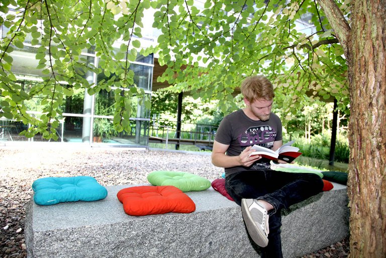 Ein Mann liest unter einem Baum eine Buch Ein Mann liest unter einem Baum eine Buch