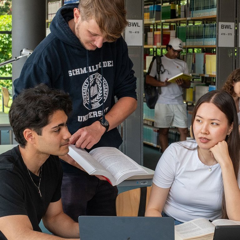 Studierende lernend in der Bibliothek