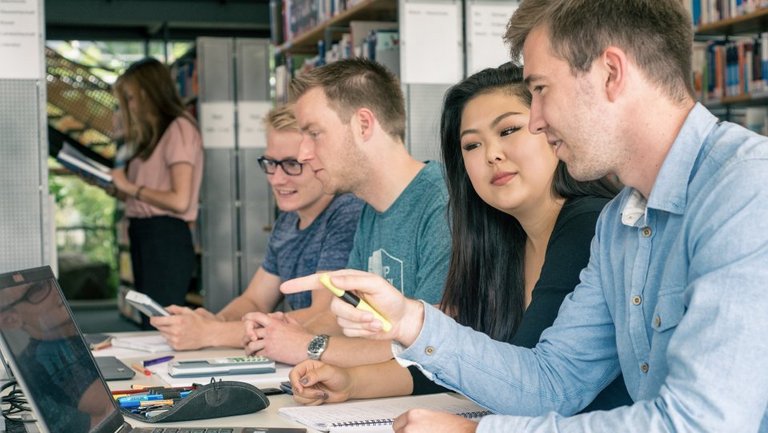 Studierende bei der Fallstudienbearbeitung