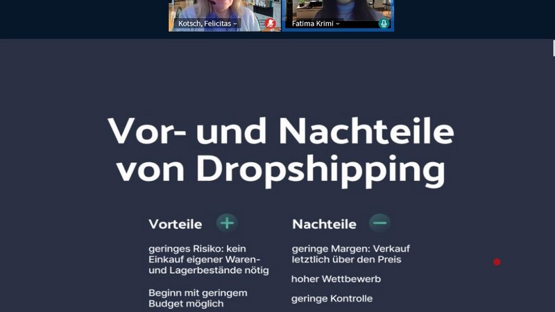 Infografik Dropshipping im Marketing