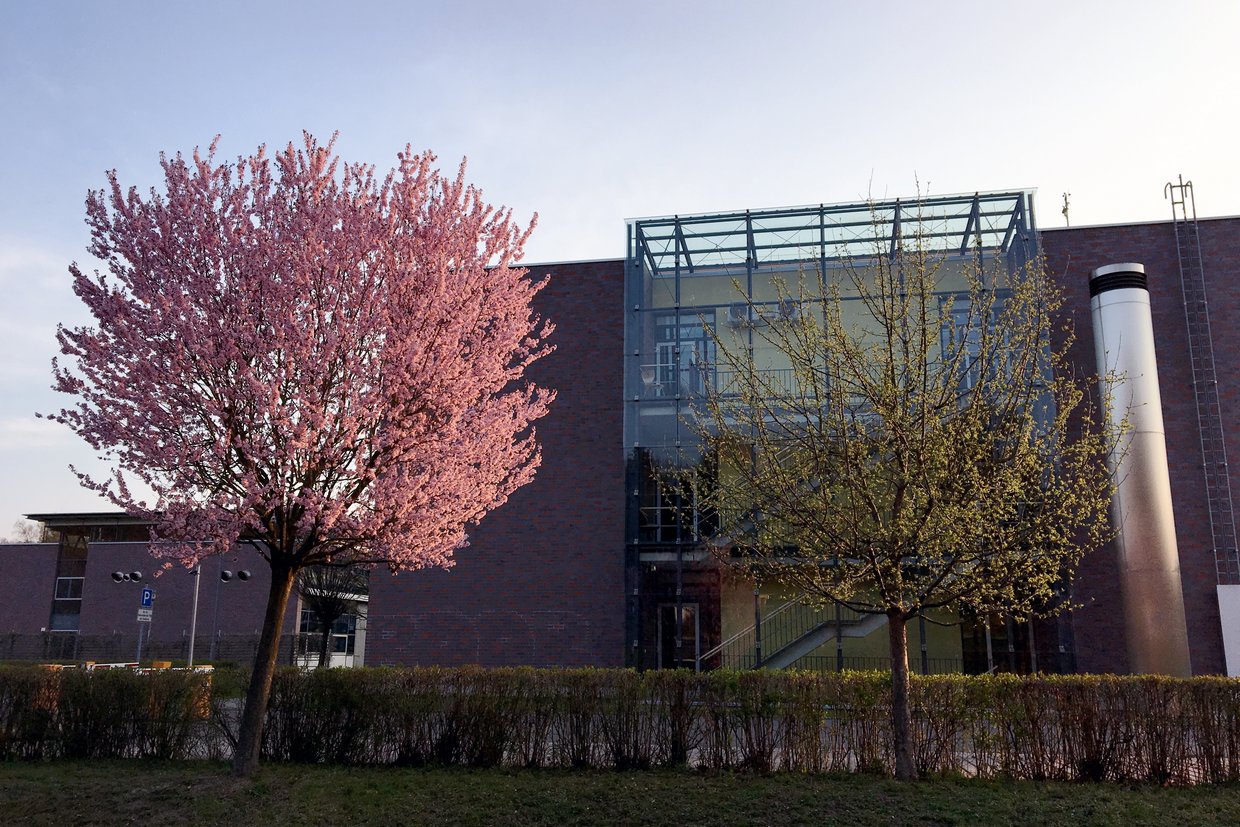 Campus im Frühjahr