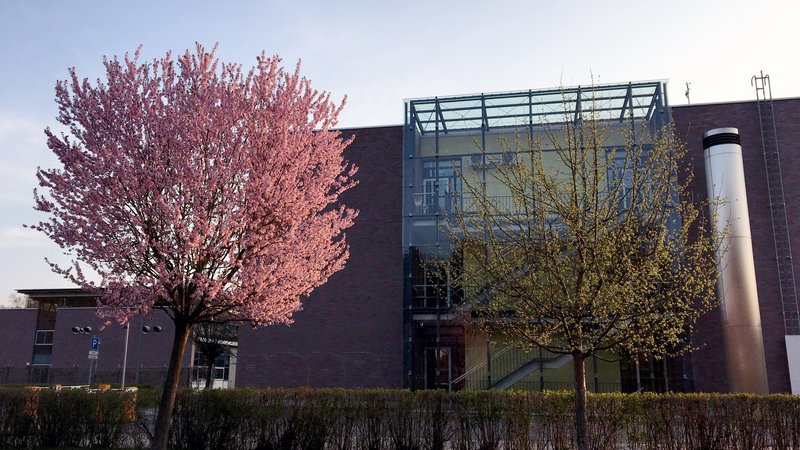 Campus im Frühjahr
