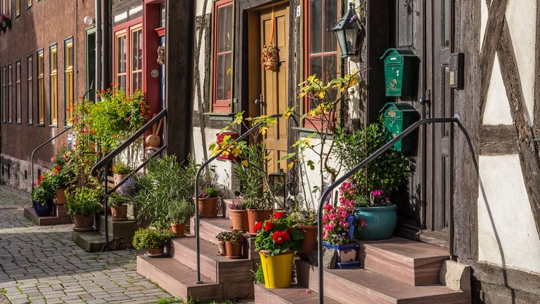 Flowers on entry stairs