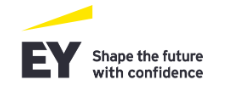 EY Corporate Solutions GmbH & Co. KG 
